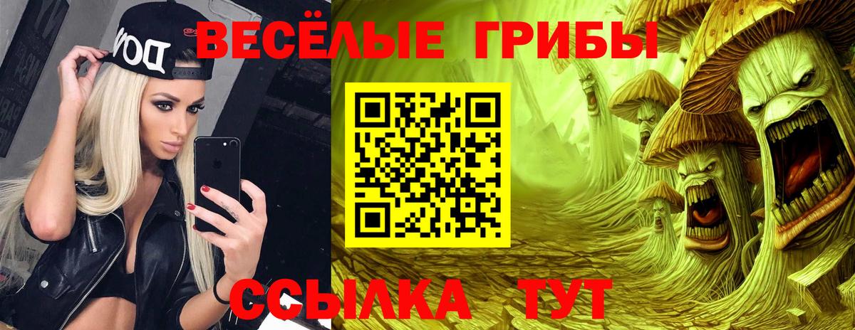 Галлюциногенные грибы GOLDEN TEACHER Павловский Посад