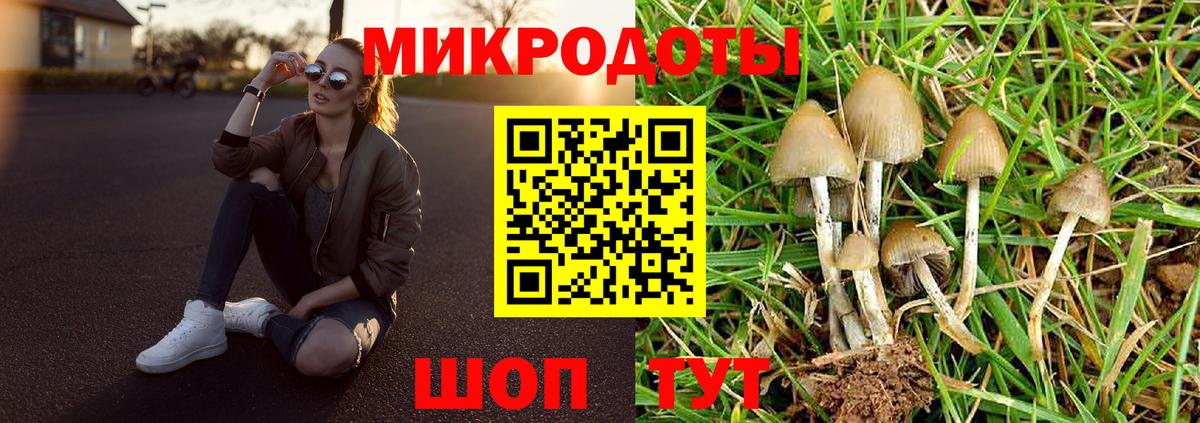 купить  сайты  Вход с VPN  Галлюциногенные грибы прущие грибы  Павловский Посад  Галлюциногенные грибы Psilocybine cubensis 